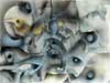 bild11
